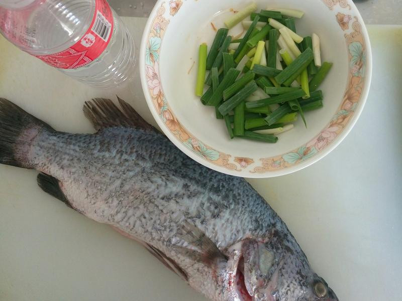 �������� ����������