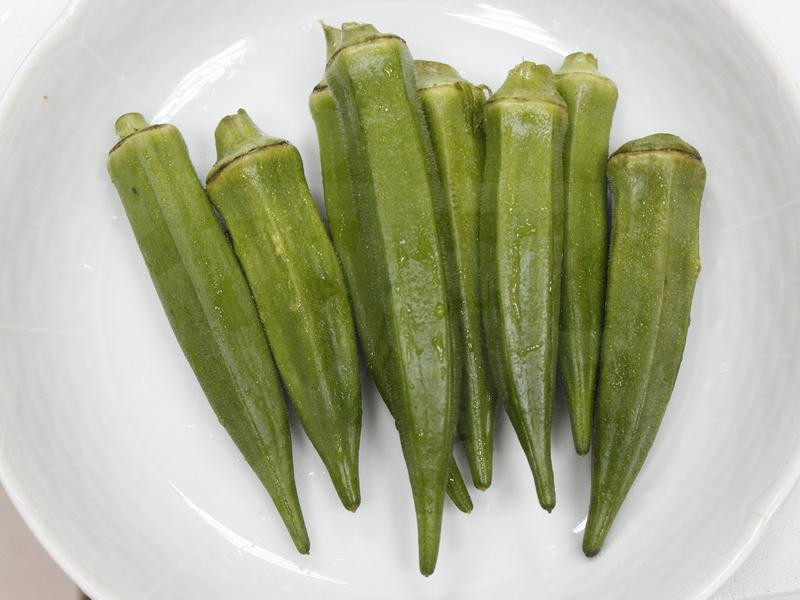 ��������ָ������