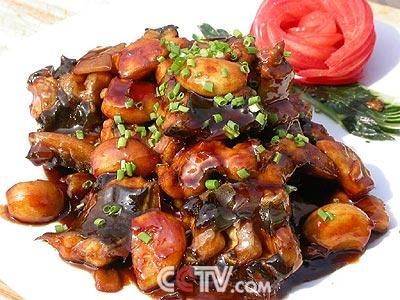 �����պ���������