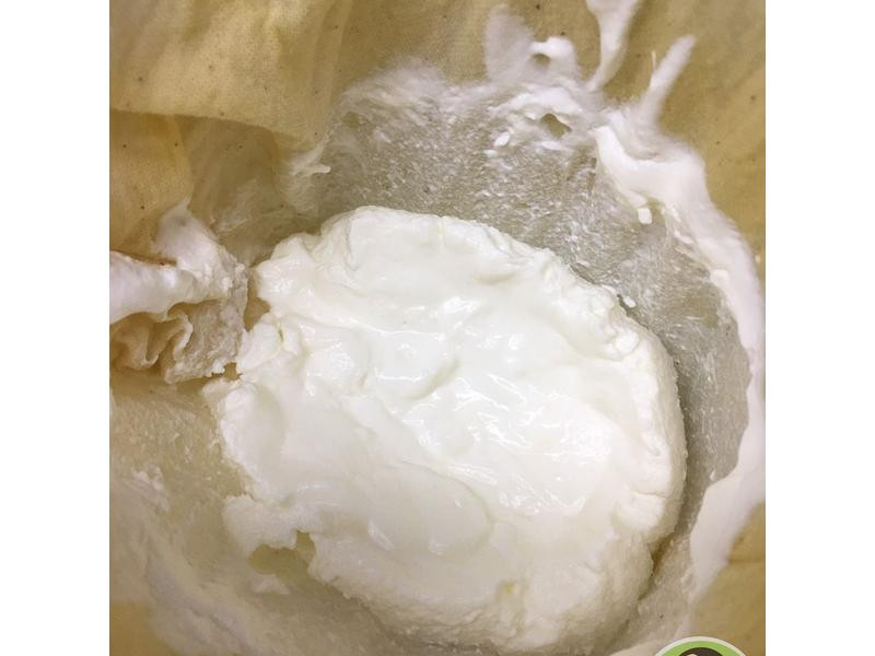 �Ÿ����ܵ���������