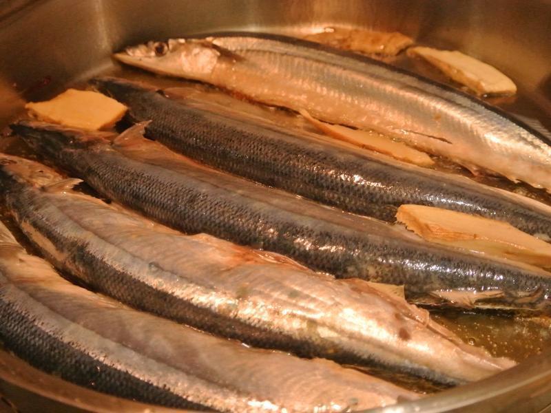 ����ʳ��-�����㵱������