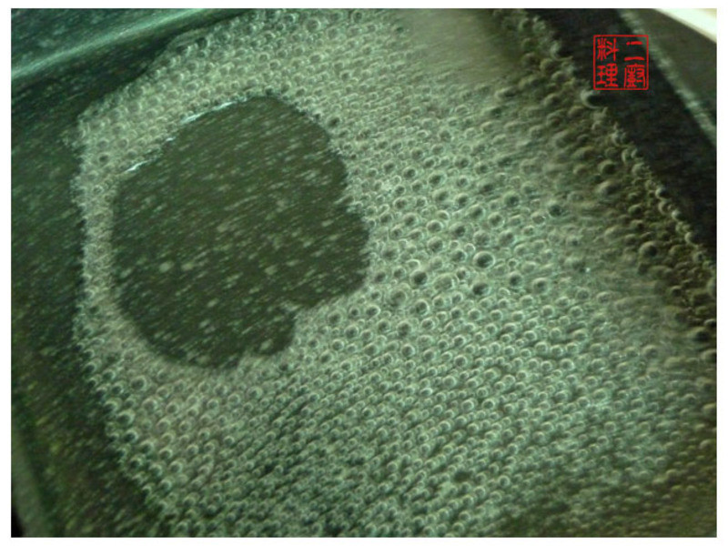 �������������ʡ���֭ӣ��Ϻ������