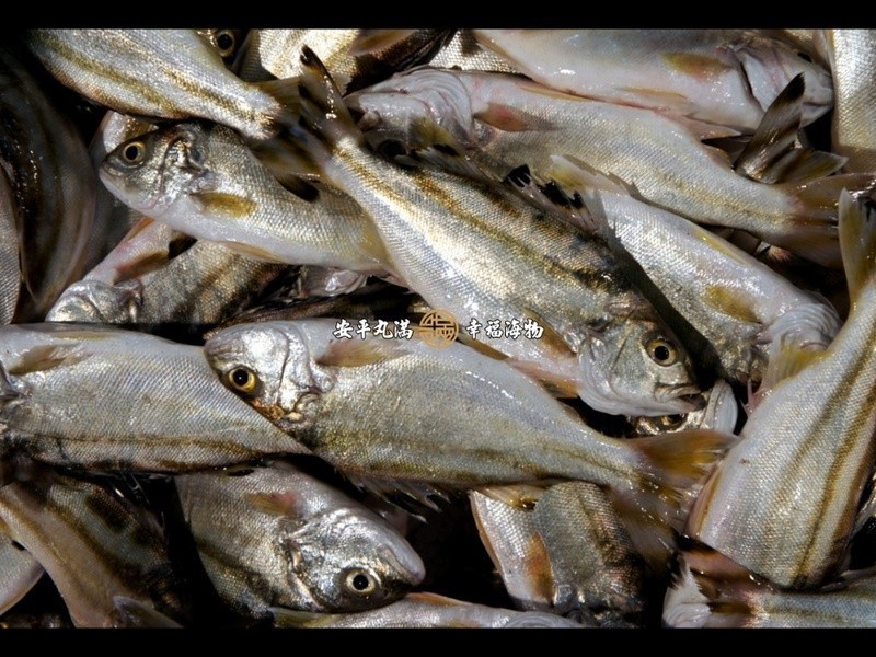 �����н�˿����������