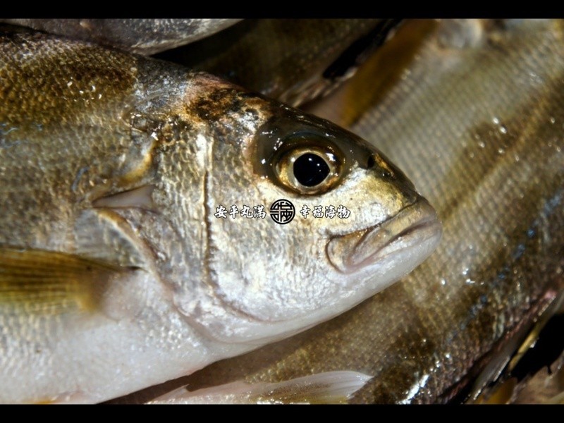 �����н�˿����������