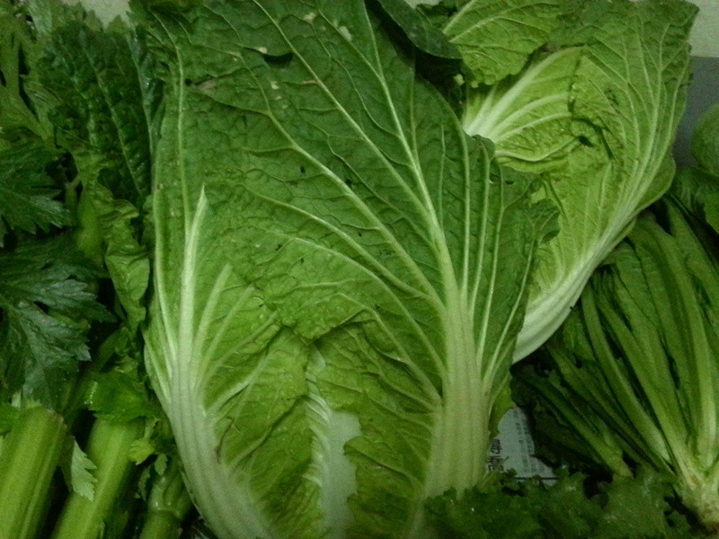 �ƽ�����ݲ˵�����