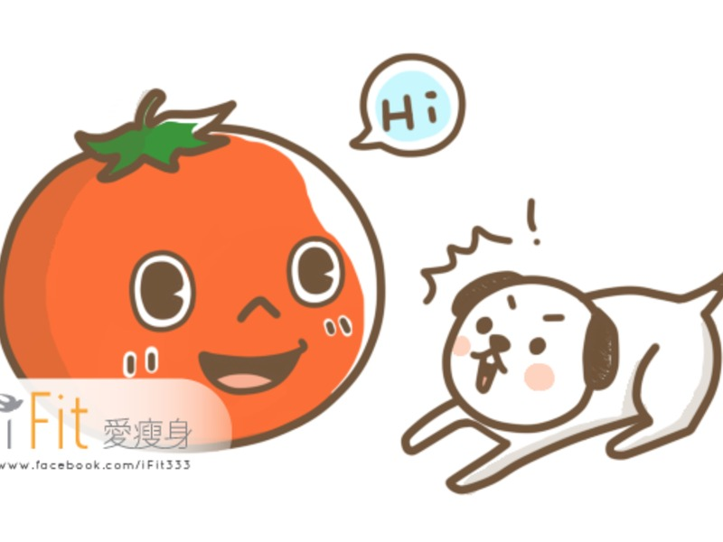 �����������Ϳ��������������