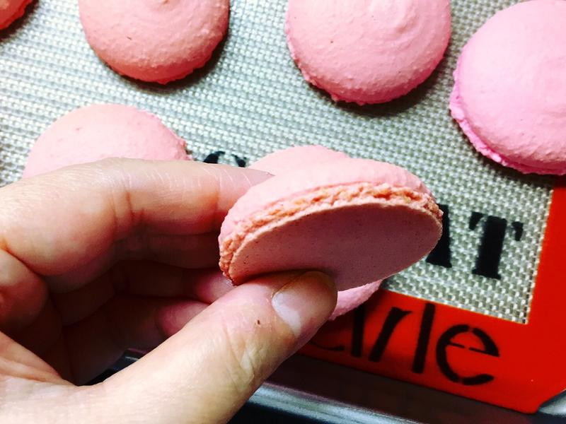 Macaroon ��ʽ������������