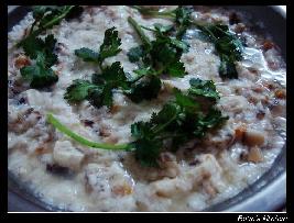 Ӫ��������������