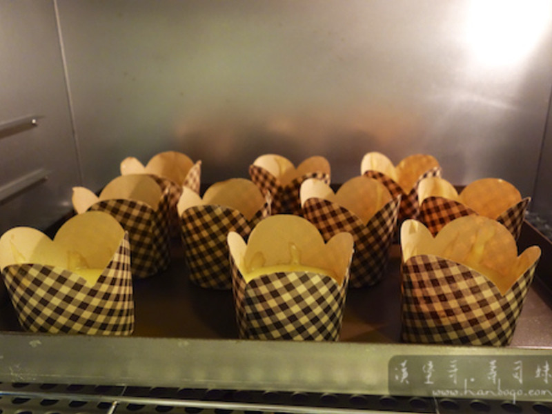 ��ζӣ��С���� Muffin������