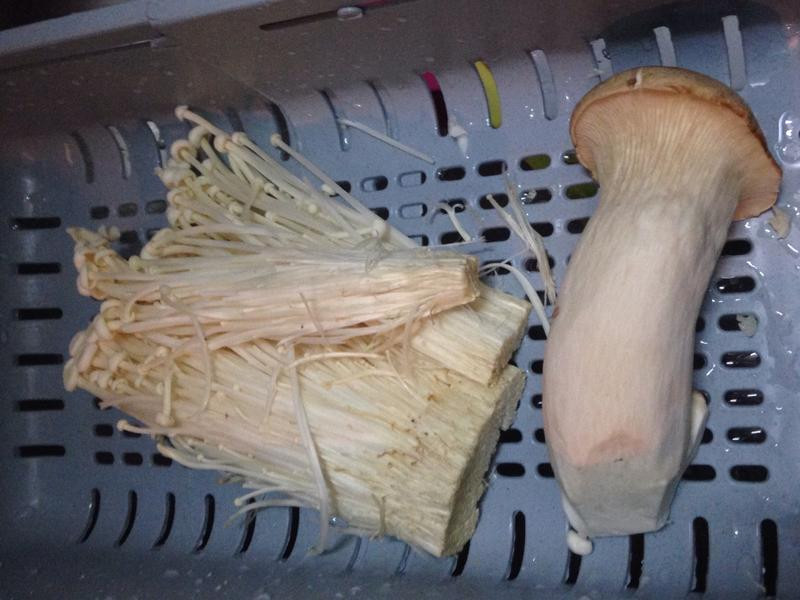 ����˶������������