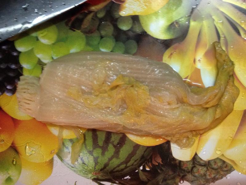 ����˶������������