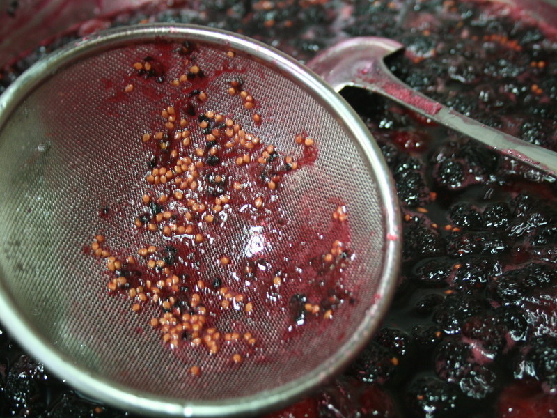 ɣ�ذ����ȹ���������