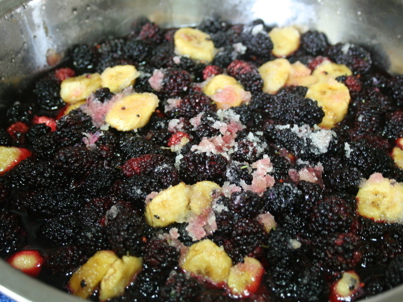 ɣ�ذ����ȹ���������