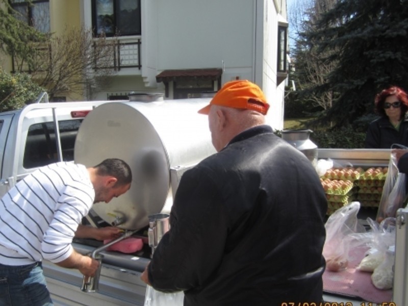 ԭζ�����Ÿ�������������