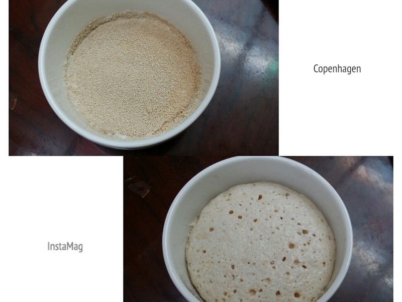 ���鲼��ŷ�� Brioche������