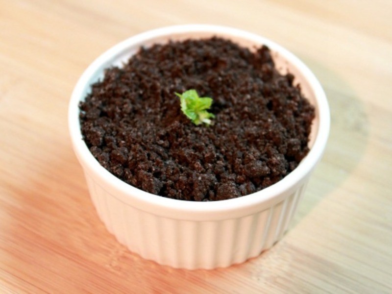 ��������Ե��⡣�ó��ֺ��������