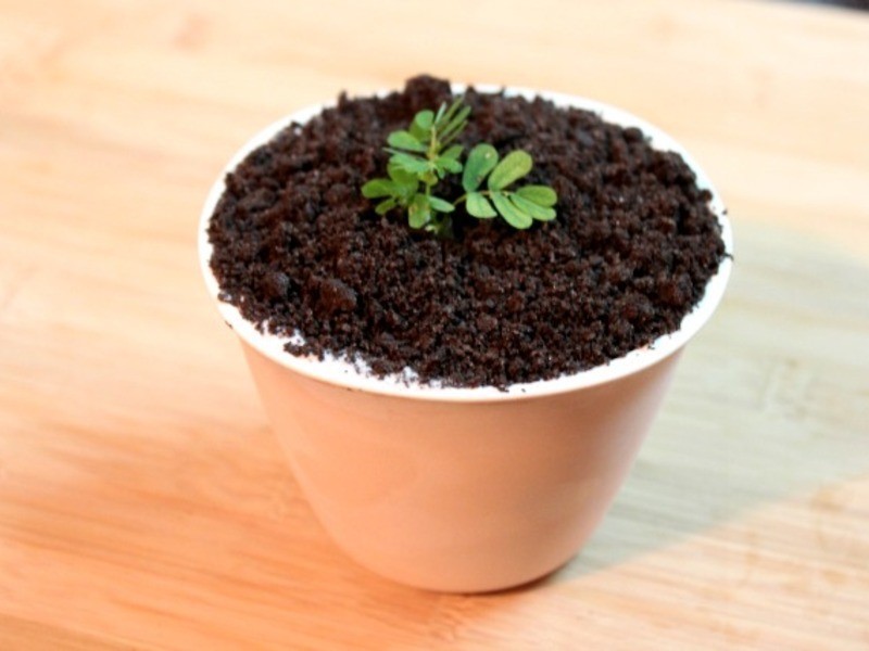 ��������Ե��⡣�ó��ֺ��������