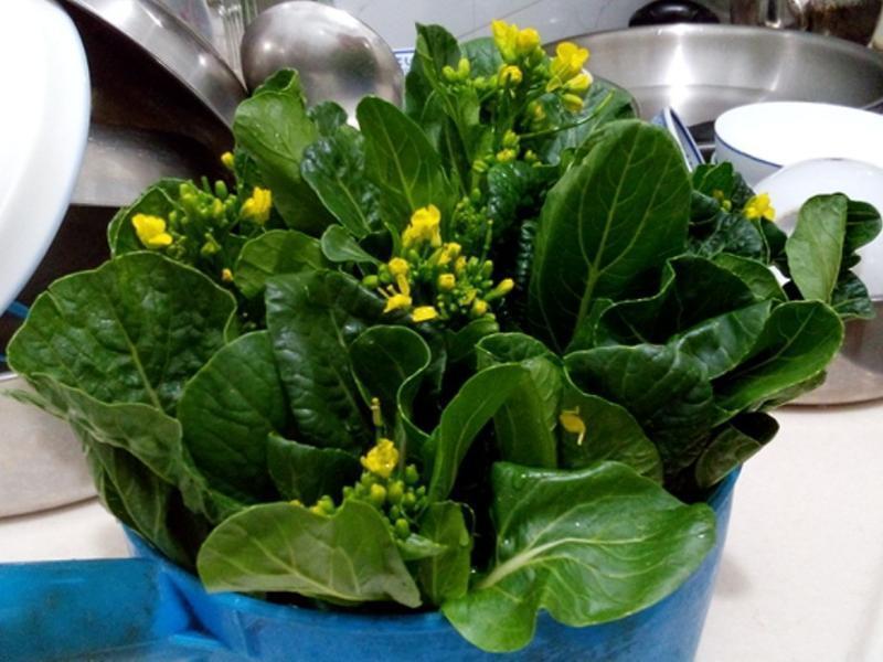 ����ˮ�Ʋ��ĵ�����