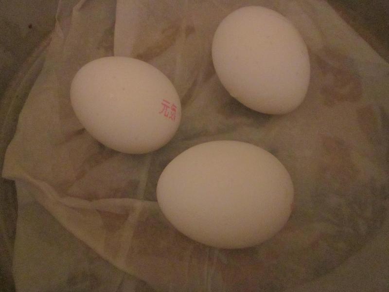 �������ĵ�~����������