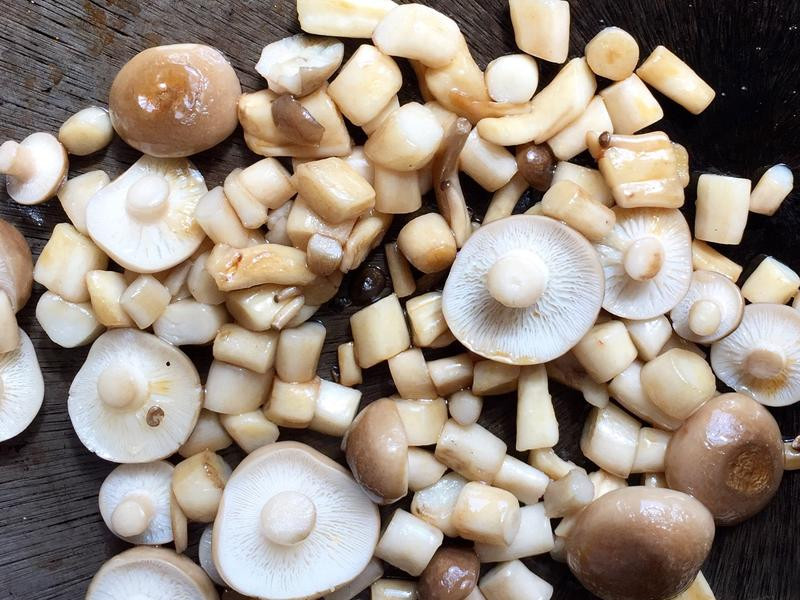 ������̦С���ŵ�����