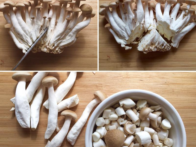 ������̦С���ŵ�����