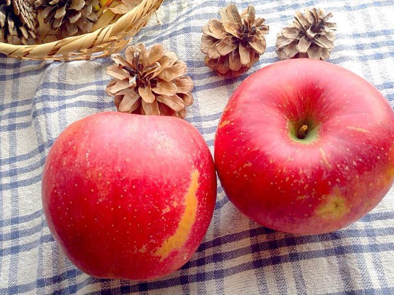 ƻ��â�����������