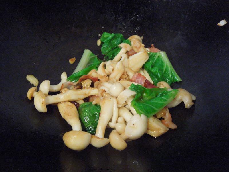 ��ʽ�̱���������