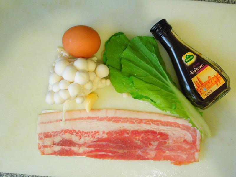 ��ʽ�̱���������