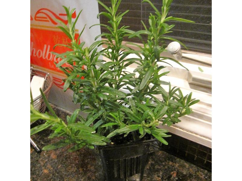 ʥ����Ȧ�����㳦��������