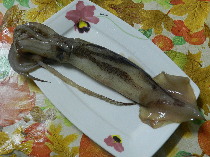 ��ɳ����Ȧ������