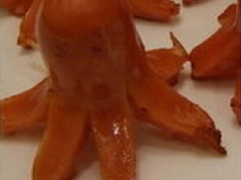 ������˾�����������ָ����������������