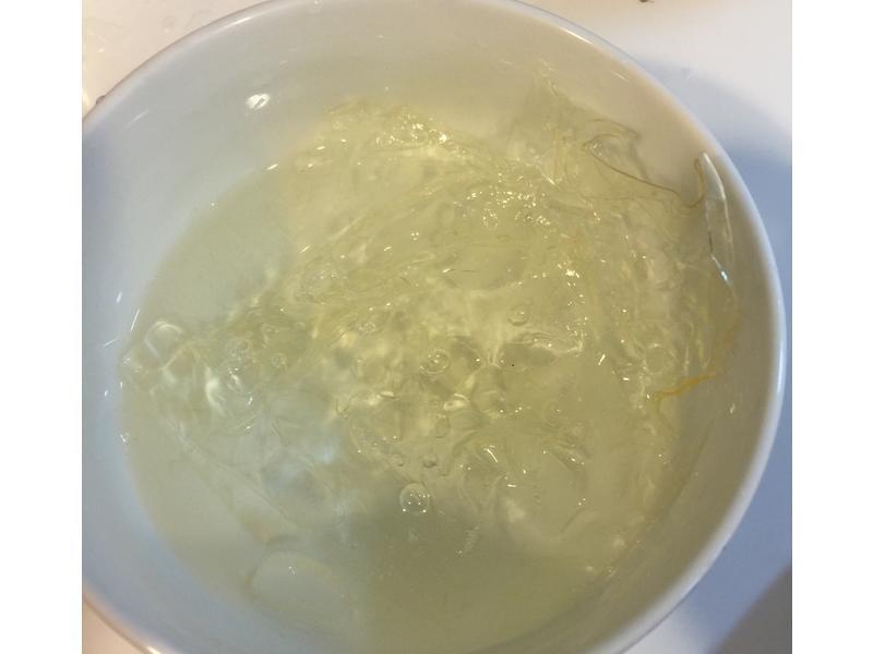 ľ������ Papaya Cotta������