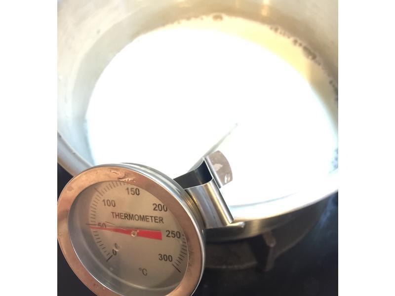 ľ������ Papaya Cotta������