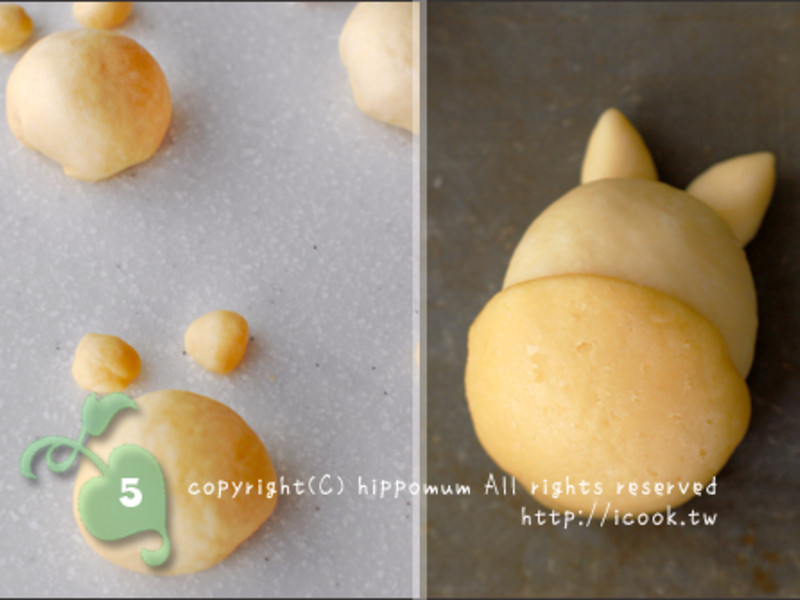 ���Ӻ決����è�������������