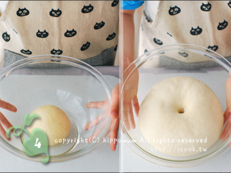 ���Ӻ決����è�������������