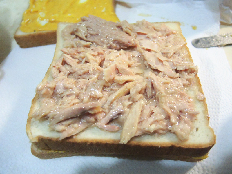 ����&�Ϲ�ɳ�������ε�����