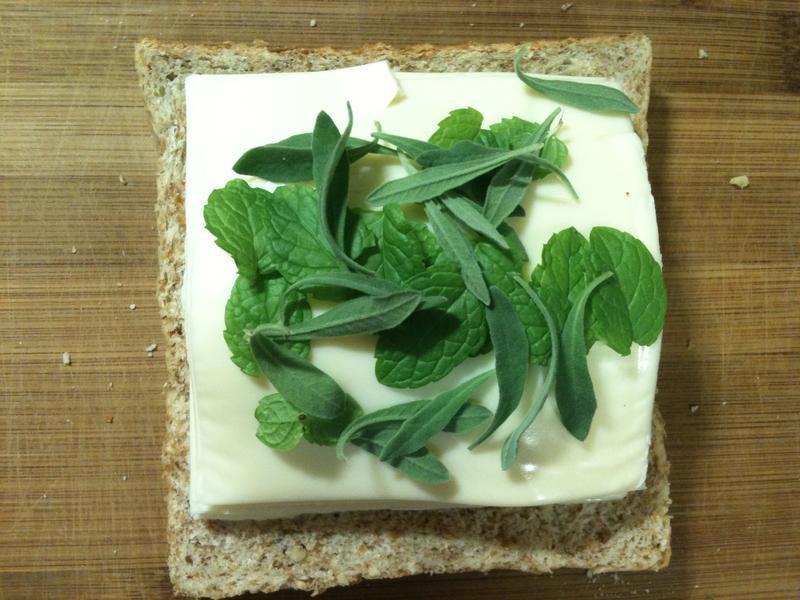 ��ݼ����ʿ�����ε�����