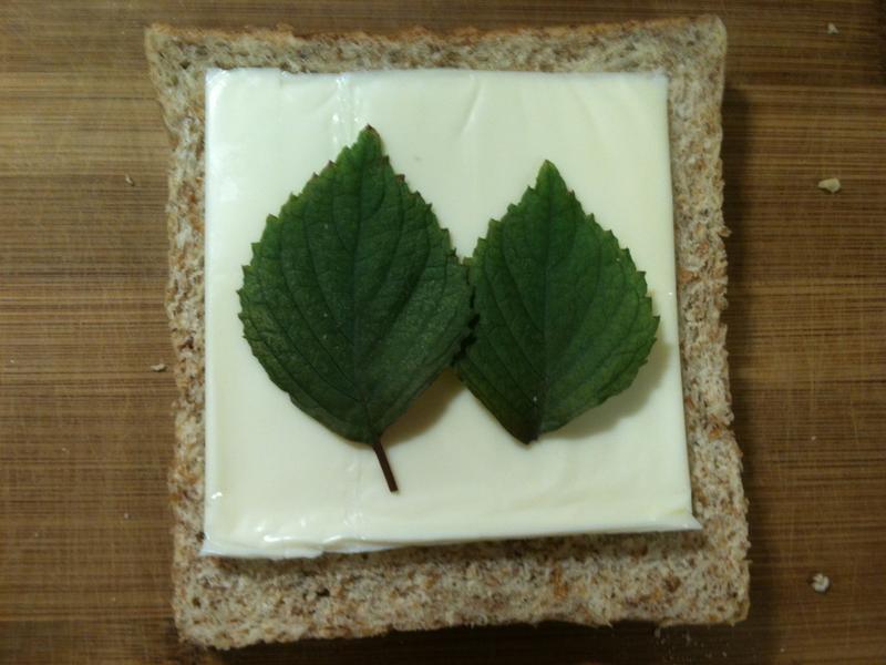 ��ݼ����ʿ�����ε�����