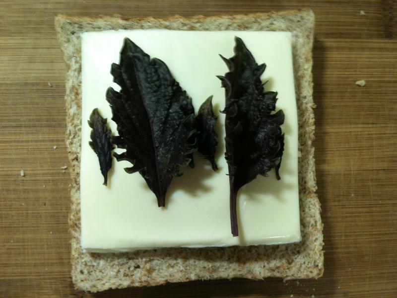 ��ݼ����ʿ�����ε�����