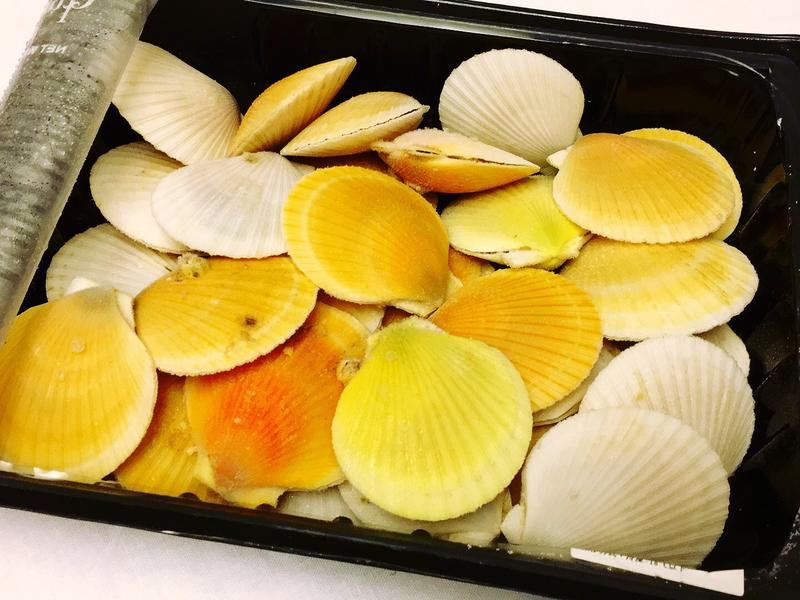 �����ȱ�������