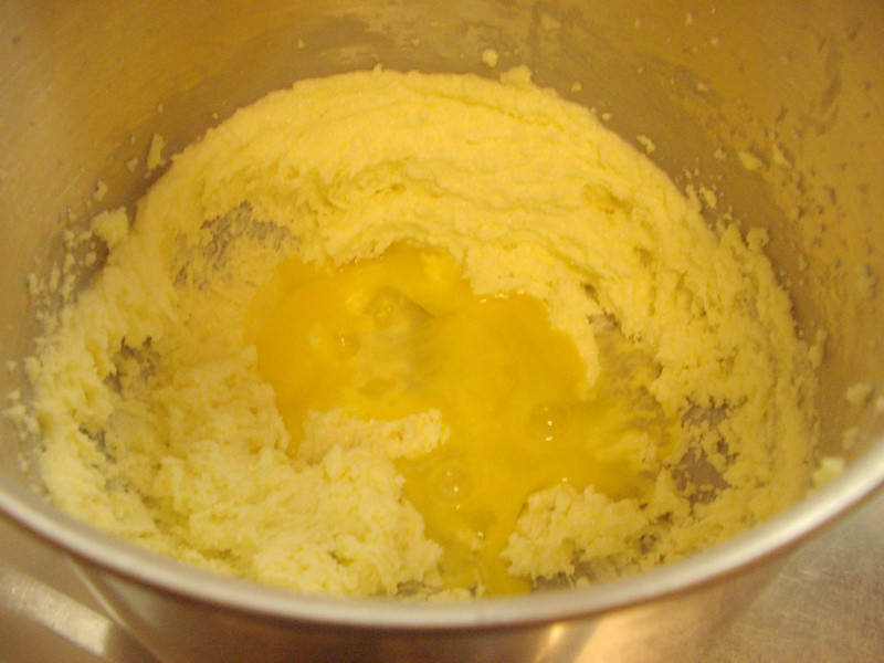 �������ɵ�����