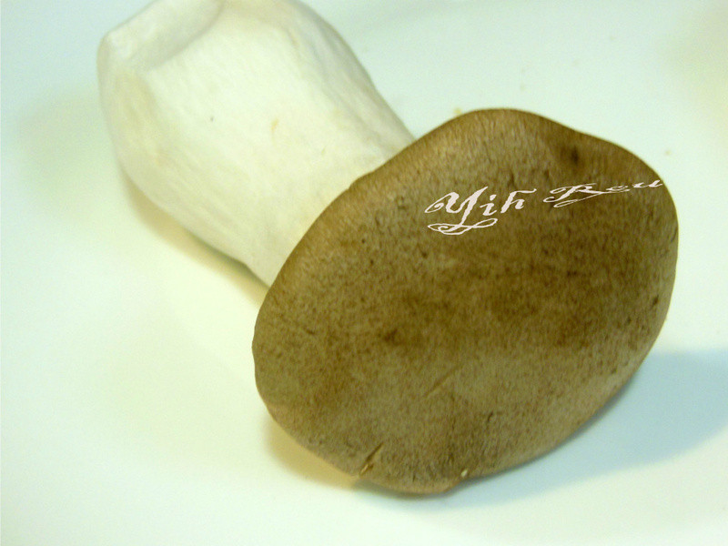 ?������ʳ?��Ȼ������ٳ���~����ʳ������