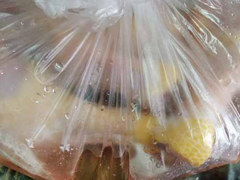 ������㿾���ȵ�����