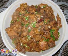 ������Ҷ��������