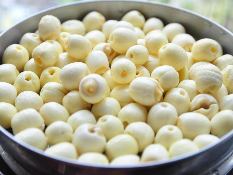 ���ǹ����ӵ�����