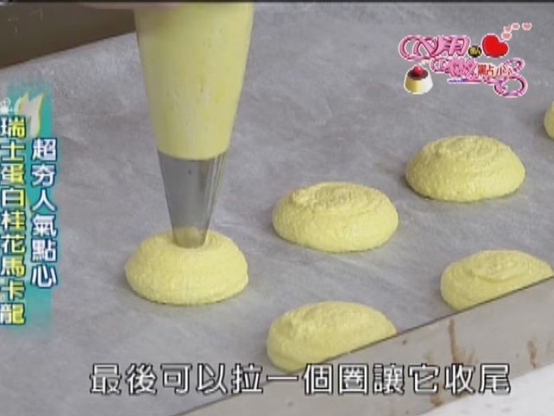 ��ʿ���׹�������������