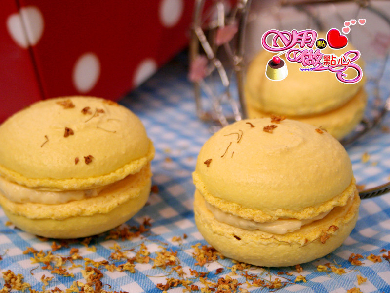 ��ʿ���׹�������������