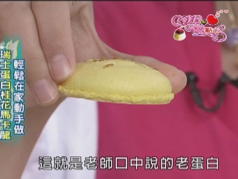 ��ʿ���׹�������������