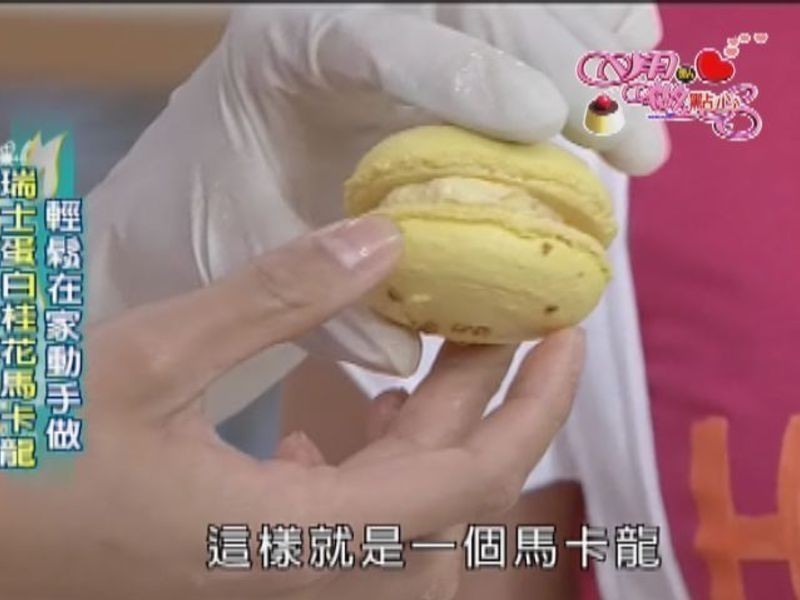 ��ʿ���׹�������������