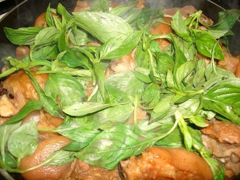 �������� (������±)������